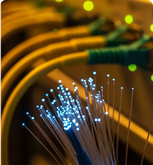 Fiber optic backbones